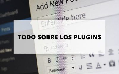 Descubre por qué son tan importantes los plugins de una web