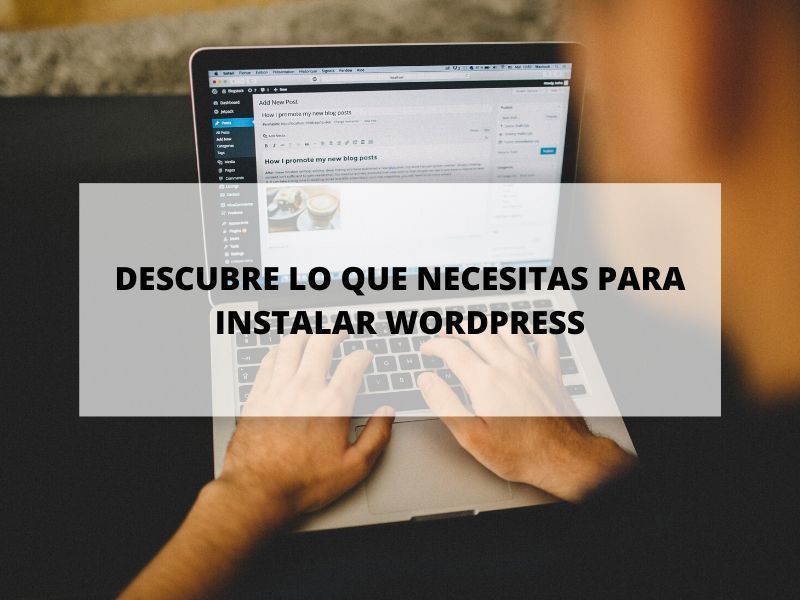 wordpress